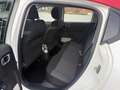 Citroen C3 1.2 puretech Shine 82cv - thumbnail 12