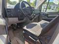 Mercedes-Benz Sprinter 210/211/213/214/216 CDI (906.611/613) Weiß - thumbnail 13