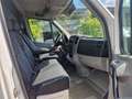 Mercedes-Benz Sprinter 210/211/213/214/216 CDI (906.611/613) Weiß - thumbnail 11