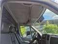 Mercedes-Benz Sprinter 210/211/213/214/216 CDI (906.611/613) Weiß - thumbnail 12