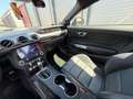 Ford Mustang MACH1 5.0 V8 Aut. , Recaro/Leder (Garantie 7/2029) Grün - thumbnail 11