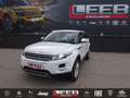 Land Rover Range Rover Evoque Pure 2,2 eD4 Weiß - thumbnail 1