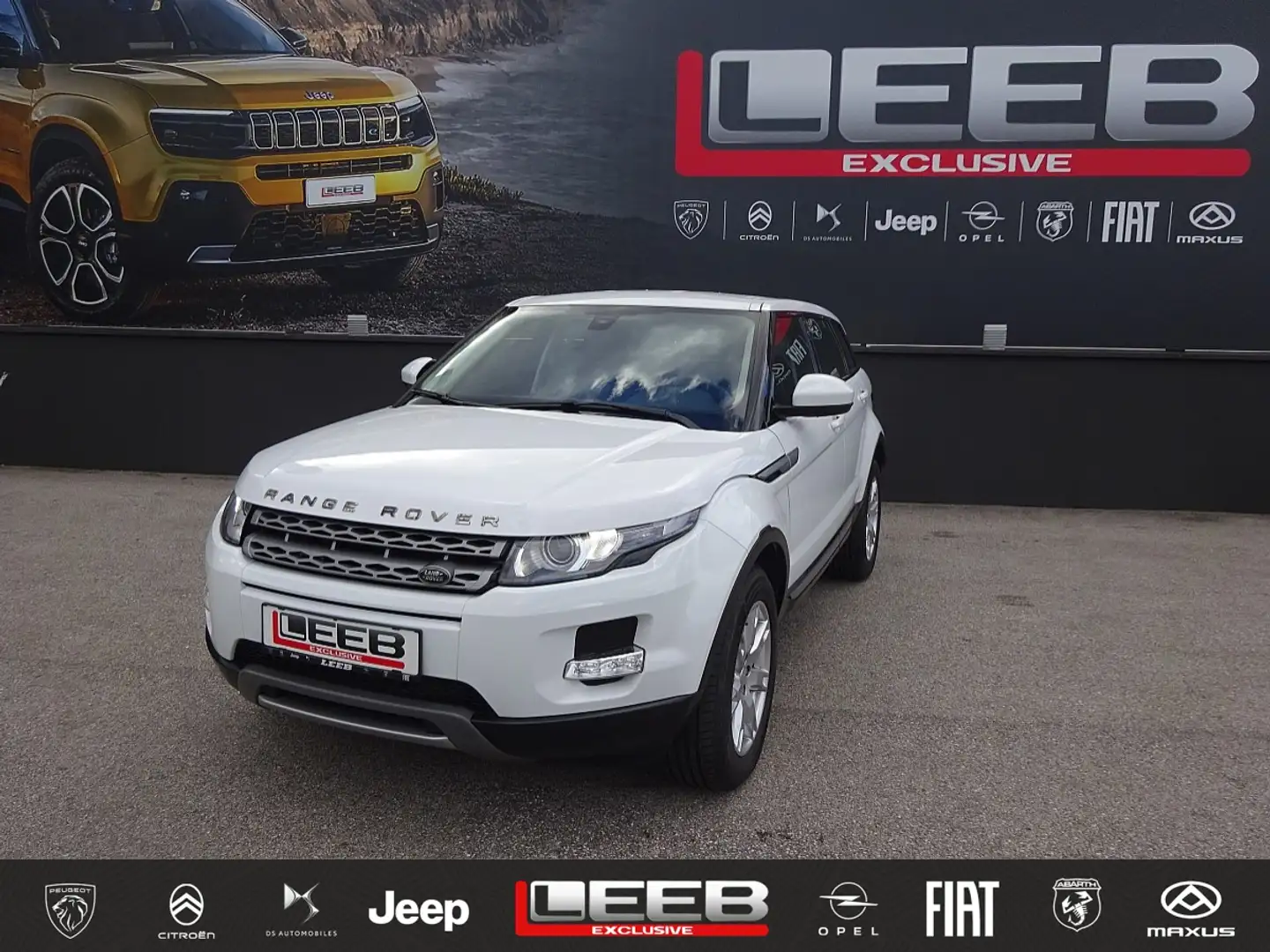 Land Rover Range Rover Evoque Pure 2,2 eD4 Weiß - 1