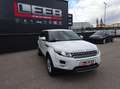 Land Rover Range Rover Evoque Pure 2,2 eD4 Weiß - thumbnail 2