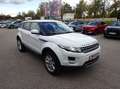 Land Rover Range Rover Evoque Pure 2,2 eD4 Weiß - thumbnail 15