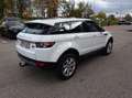 Land Rover Range Rover Evoque Pure 2,2 eD4 Weiß - thumbnail 13