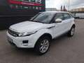 Land Rover Range Rover Evoque Pure 2,2 eD4 Weiß - thumbnail 17