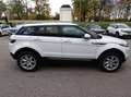 Land Rover Range Rover Evoque Pure 2,2 eD4 Weiß - thumbnail 14