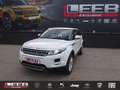 Land Rover Range Rover Evoque Pure 2,2 eD4 Weiß - thumbnail 1