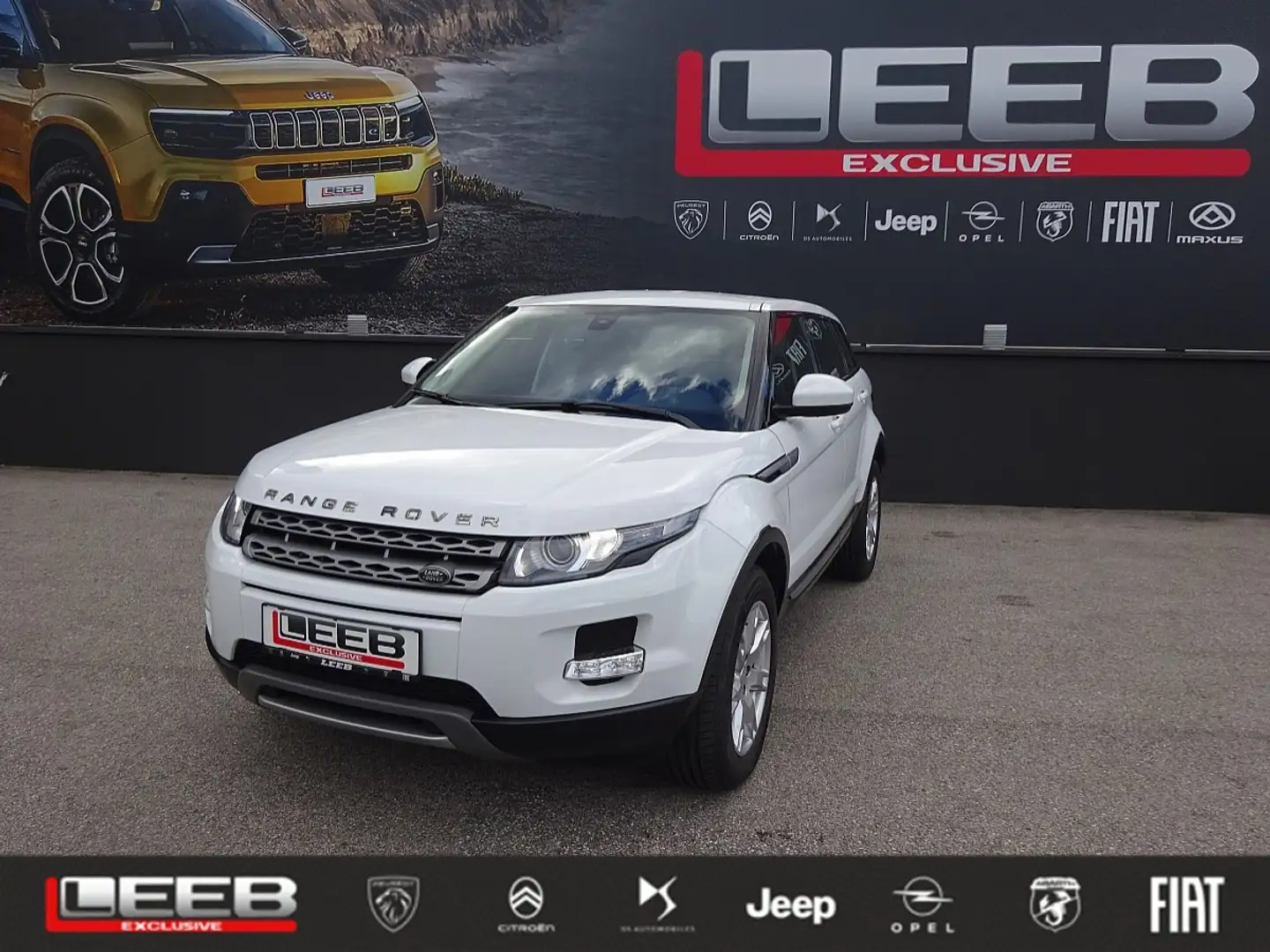 Land Rover Range Rover Evoque Pure 2,2 eD4 Weiß - 1