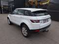 Land Rover Range Rover Evoque Pure 2,2 eD4 Weiß - thumbnail 11