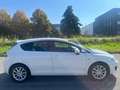 SEAT Leon Leon 1.6 TDI CR DPF Style Bianco - thumbnail 5