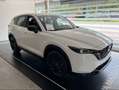 Mazda CX-5 2.2 Homura + pack 2wd 150 cv 6AT KM0 Weiß - thumbnail 3