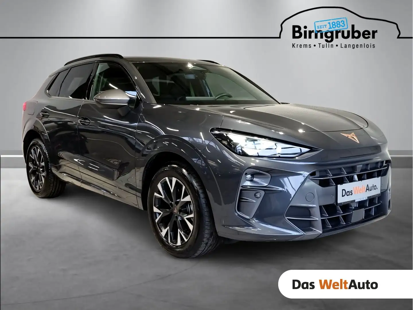 CUPRA Terramar 1.5 e-TSI 150 PS DSG Grau - 1