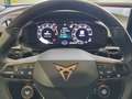 CUPRA Terramar 1.5 e-TSI 150 PS DSG Grau - thumbnail 9