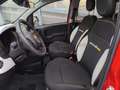 Fiat Panda Panda 1.0 firefly hybrid s&s 70cv 5p.ti Rouge - thumbnail 12