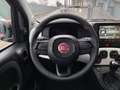 Fiat Panda Panda 1.0 firefly hybrid s&s 70cv 5p.ti Rouge - thumbnail 21