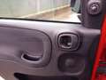 Fiat Panda Panda 1.0 firefly hybrid s&s 70cv 5p.ti Rouge - thumbnail 13