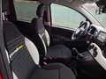 Fiat Panda Panda 1.0 firefly hybrid s&s 70cv 5p.ti Rouge - thumbnail 24