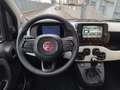 Fiat Panda Panda 1.0 firefly hybrid s&s 70cv 5p.ti Rouge - thumbnail 8