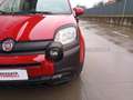 Fiat Panda Panda 1.0 firefly hybrid s&s 70cv 5p.ti Rouge - thumbnail 18