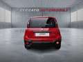 Fiat Panda Panda 1.0 firefly hybrid s&s 70cv 5p.ti Rouge - thumbnail 5