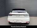 Porsche Macan GTS BOSE Luftfederung 21-Zoll Sportabgas Alb - thumbnail 5