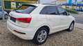 Audi Q3 2.0 TDI , Tüv Neu Weiß - thumbnail 6