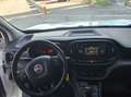Fiat Doblo Doblò 1.3 MJT SX 3 Posti 76.000 KM All. Officina Bianco - thumbnail 11