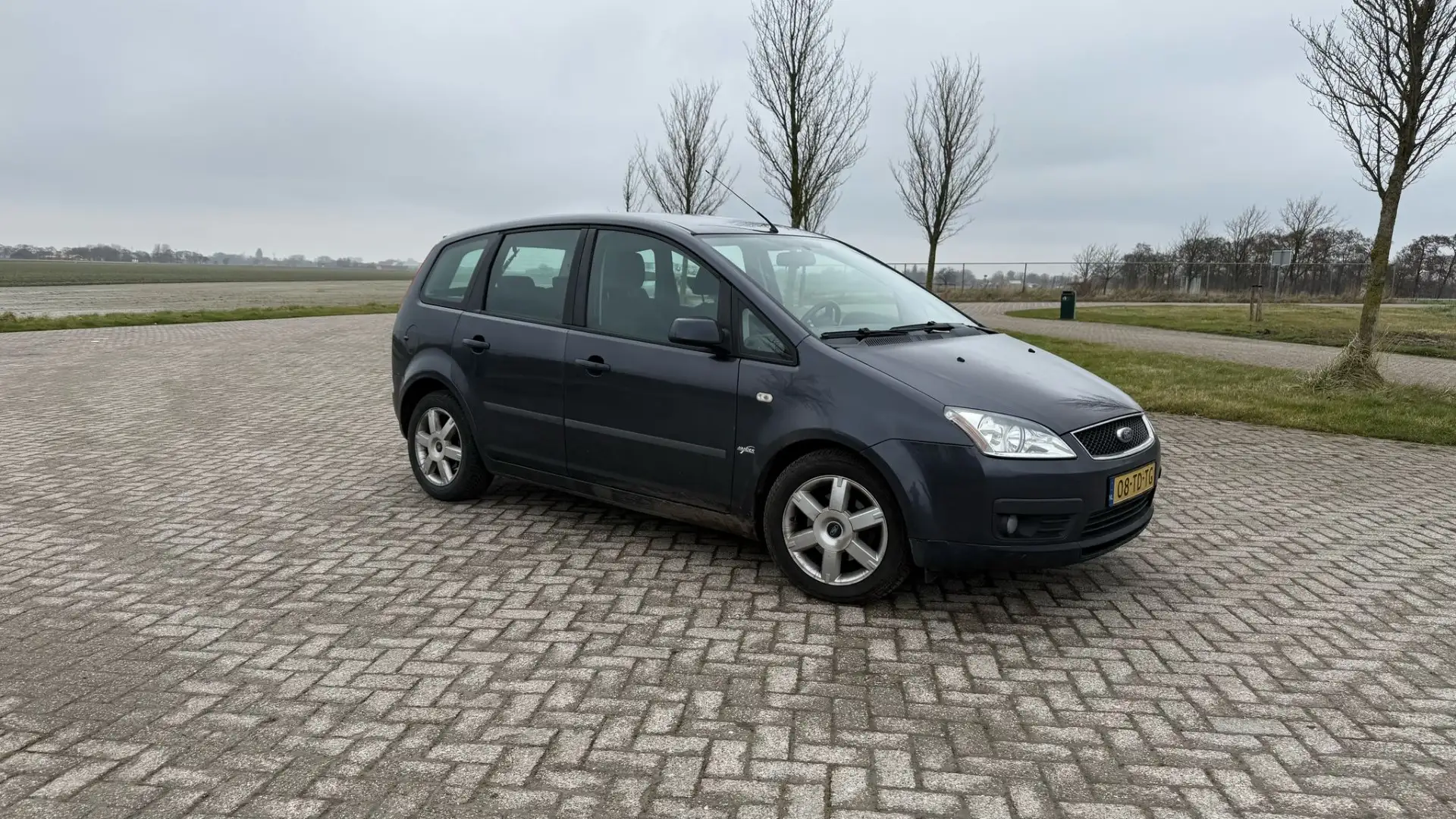 Ford Focus C-Max 1.6-16V Futura Grijs - 1