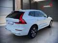 Volvo XC60 Plus, T6 Plug-in Hybrid, Elektrisch/Benzin, Bright Weiß - thumbnail 4