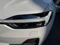 Volvo XC60 Plus, T6 Plug-in Hybrid, Elektrisch/Benzin, Bright Weiß - thumbnail 12