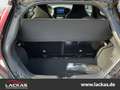Toyota Aygo X Pulse 1.0*Carplay*PDC*LED-Paket*ACC*Kamera Vert - thumbnail 19