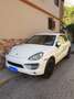 Porsche Cayenne 3.0 V6 tdi 245cv tiptronic - thumbnail 1