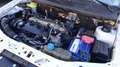 Fiat Strada 1.9 jtd FIORINO  PICK-UP  GANCIO TRAINO Weiß - thumbnail 27