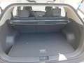 Kia EV3 81,h Earth ACC+SpurH+KlimaAuti+Nav+R.Kam+ Weiß - thumbnail 14