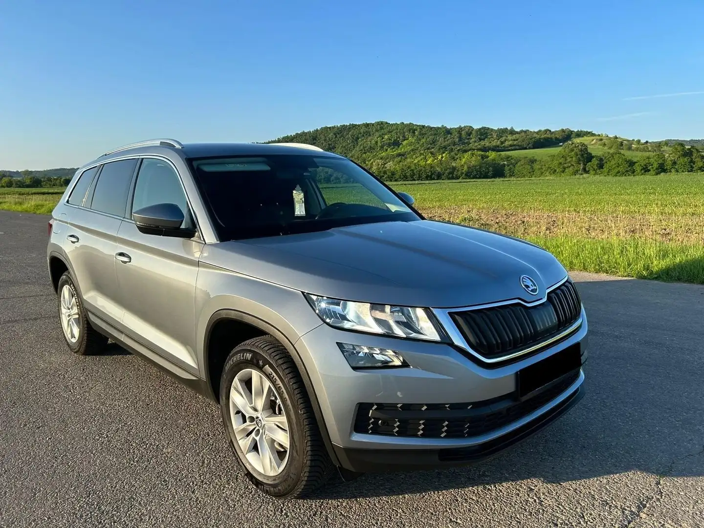 Skoda Kodiaq Kodiaq 2.0 TDI SCR DSG Style Gris - 2