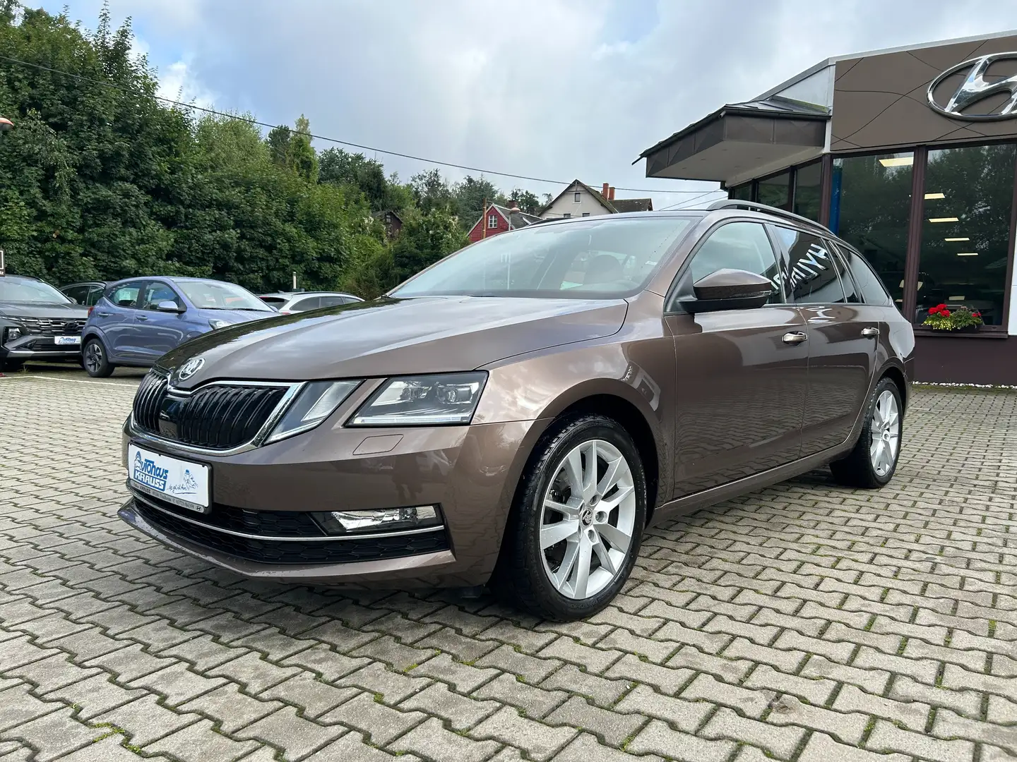 Skoda Octavia Style - Navi - LED Marrón - 1