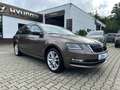 Skoda Octavia Style - Navi - LED Marrón - thumbnail 8