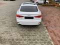 Audi A5 2.0 TDI S tronic/Pano/HuD/Matrix/Kamera/ACC Weiß - thumbnail 8