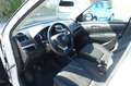 Suzuki Swift 1,3i Tempomat*ZV+Funk*Klima*8fach Bereift* Weiß - thumbnail 10