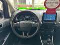 Ford EcoSport Cool & Connect, NAVI, Bluetooth... Grey - thumbnail 8