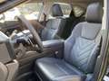 Lexus NX 450h+ AWD President Line NIEUW DIRECT LEVERBAAR TREKHAAK Grün - thumbnail 14