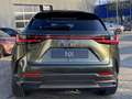 Lexus NX 450h+ AWD President Line NIEUW DIRECT LEVERBAAR TREKHAAK Grün - thumbnail 4