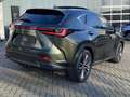 Lexus NX 450h+ AWD President Line NIEUW DIRECT LEVERBAAR TREKHAAK Grün - thumbnail 5