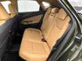 Lexus NX 450h+ AWD Executive Line | Stoelgeheugen | Houtafwerking Vert - thumbnail 20