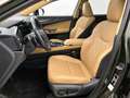 Lexus NX 450h+ AWD Executive Line | Stoelgeheugen | Houtafwerking Vert - thumbnail 19