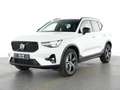Volvo XC40 B3 Plus Dark/Navi/LED/360Kam/hzb.FS/el.HKL Klima Weiß - thumbnail 1