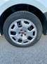 Fiat Doblo 1.6 MJT 105CV 3 POSTI Cassonato + IVA Bianco - thumbnail 5