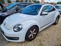 Volkswagen Beetle Cup 1.4 TSI Weiß - thumbnail 3